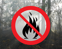 Symbol för eldningsförbud och skog i bakgrunden
